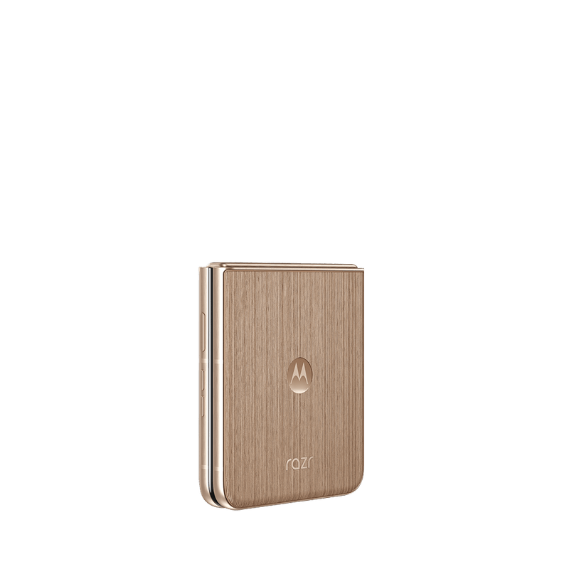 2025_ORION_BASICPACK_CAFE_DYN-BACKSIDE-RIGHT_CLOSED.png